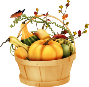 a basket of autumn squash
